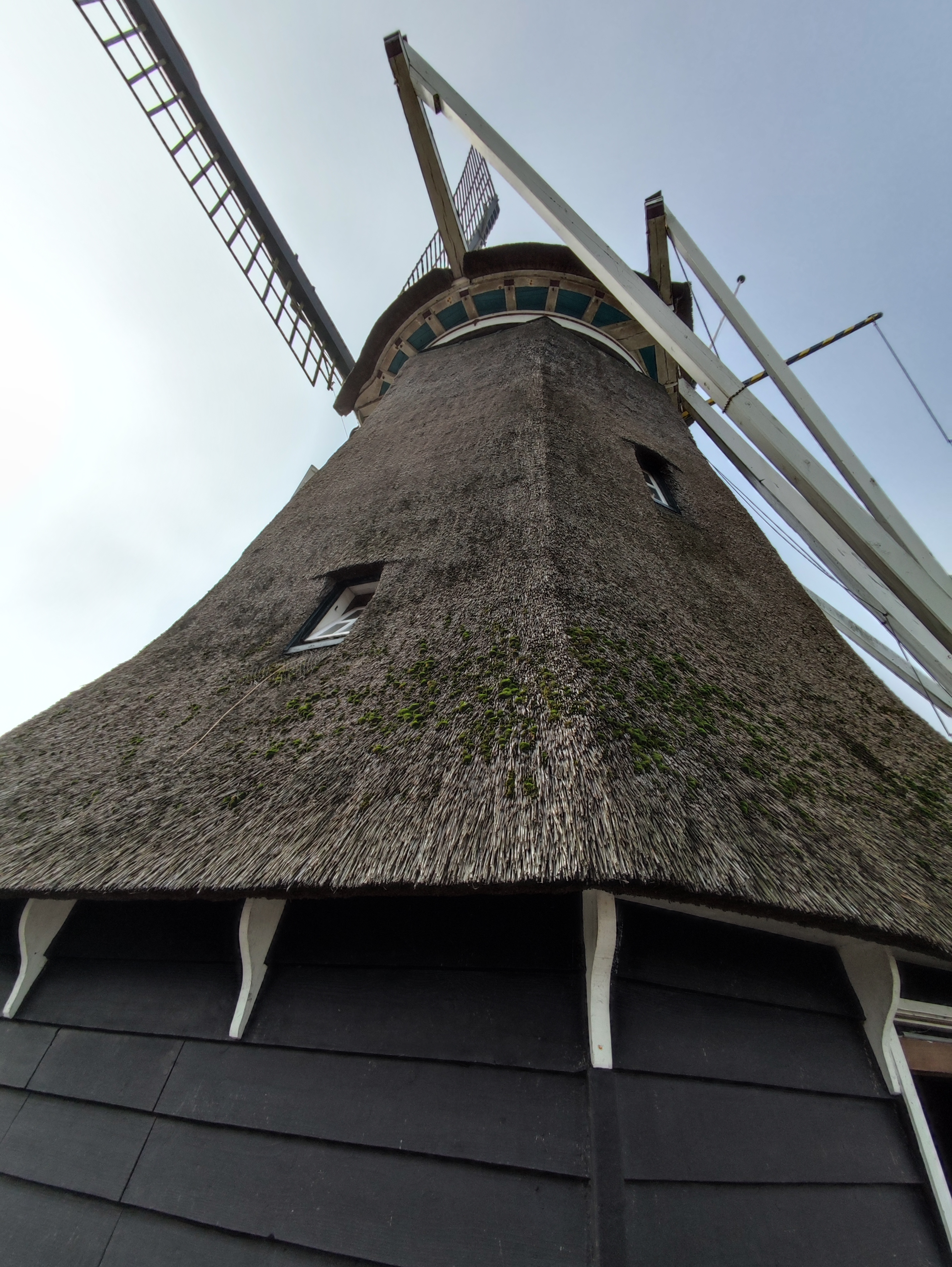 Bezoek aan de molen in Medemblik