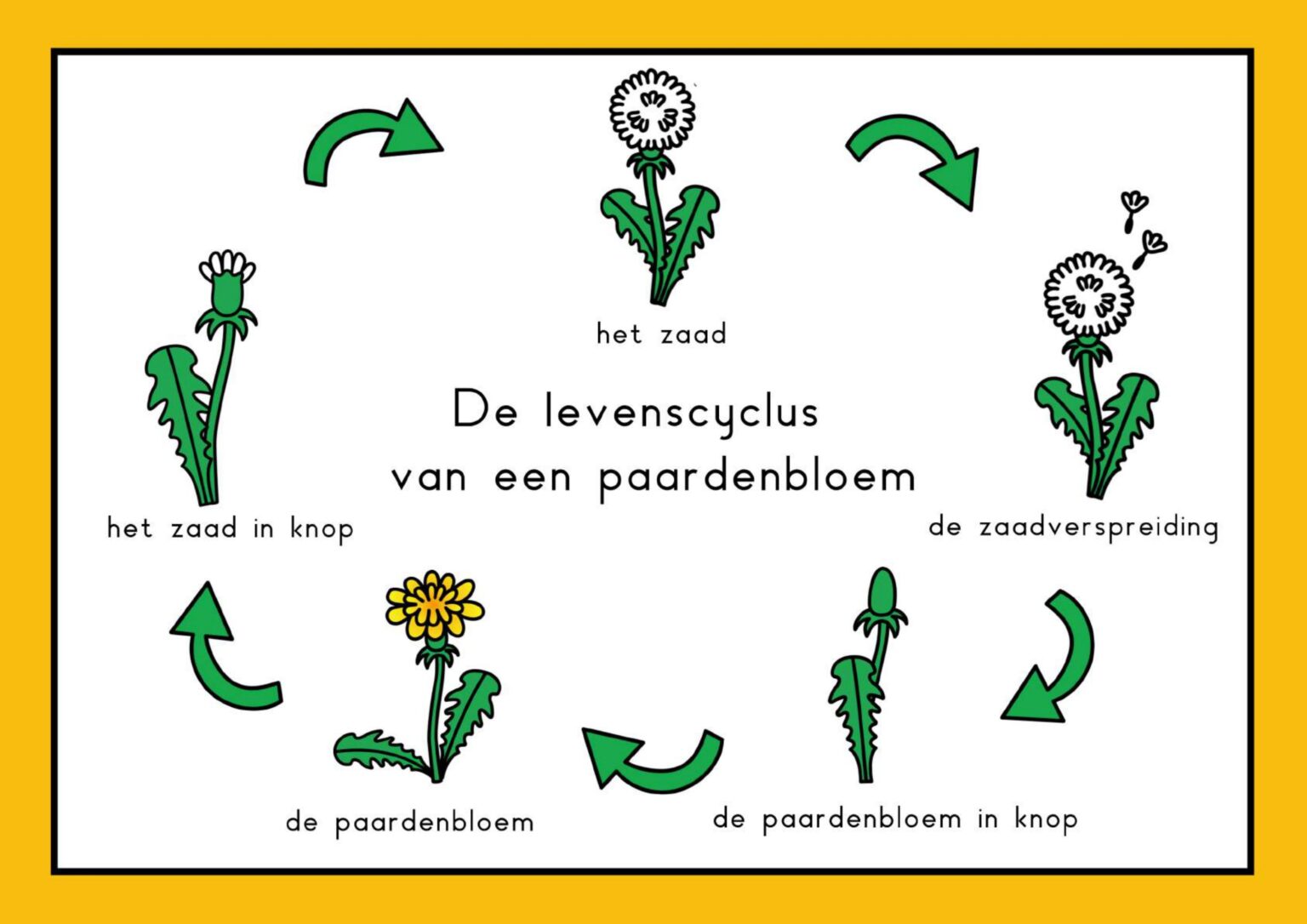 Laatste thema